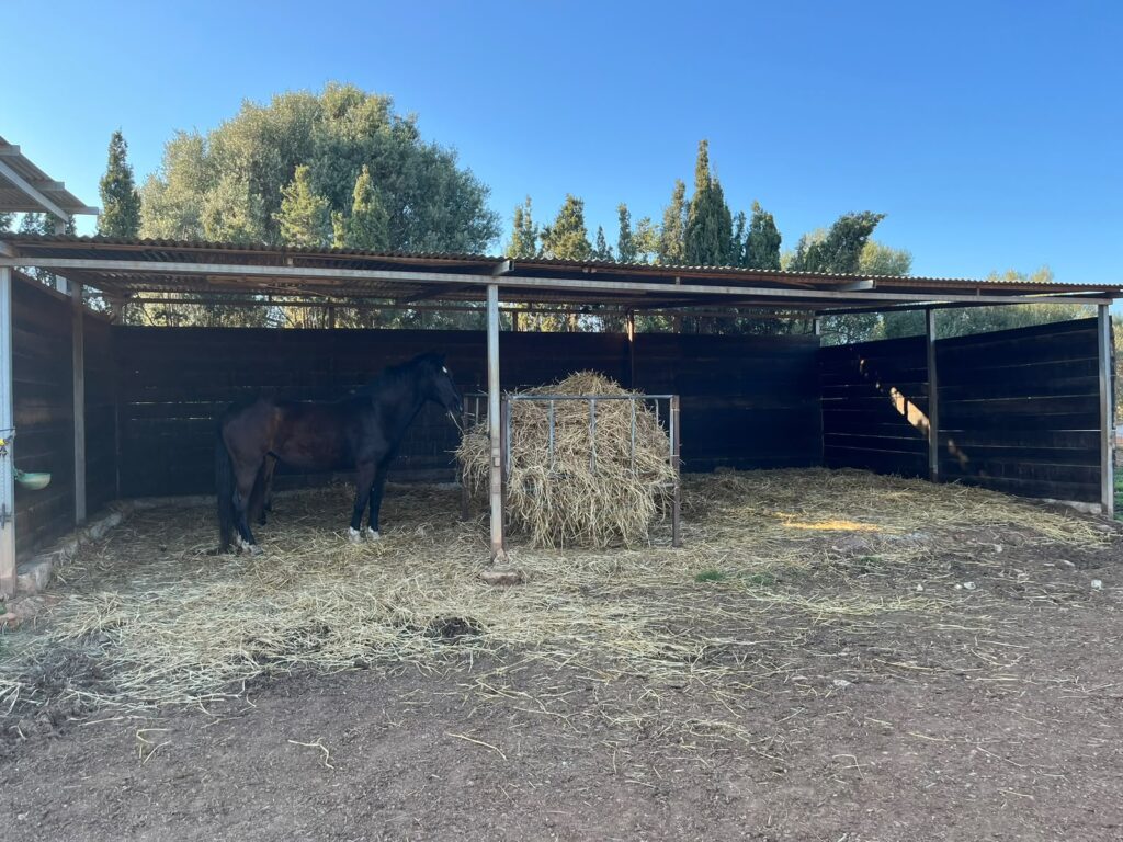 Corral Manada