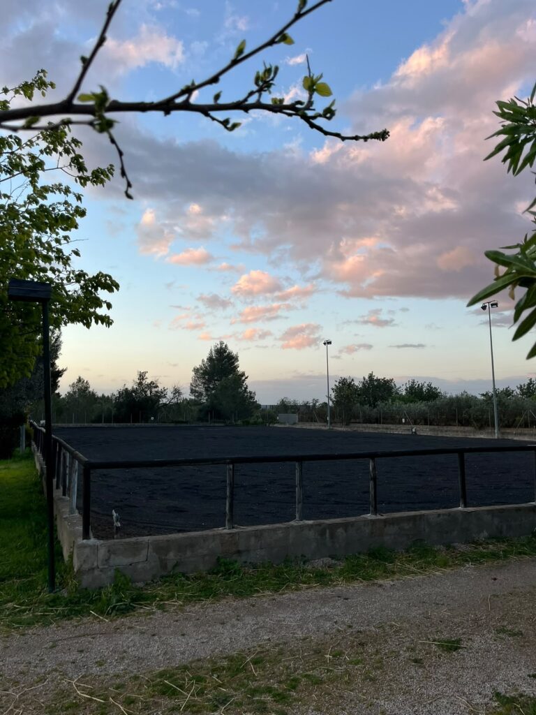 Pista entrenamiento